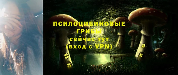 PSILOCYBIN Балахна
